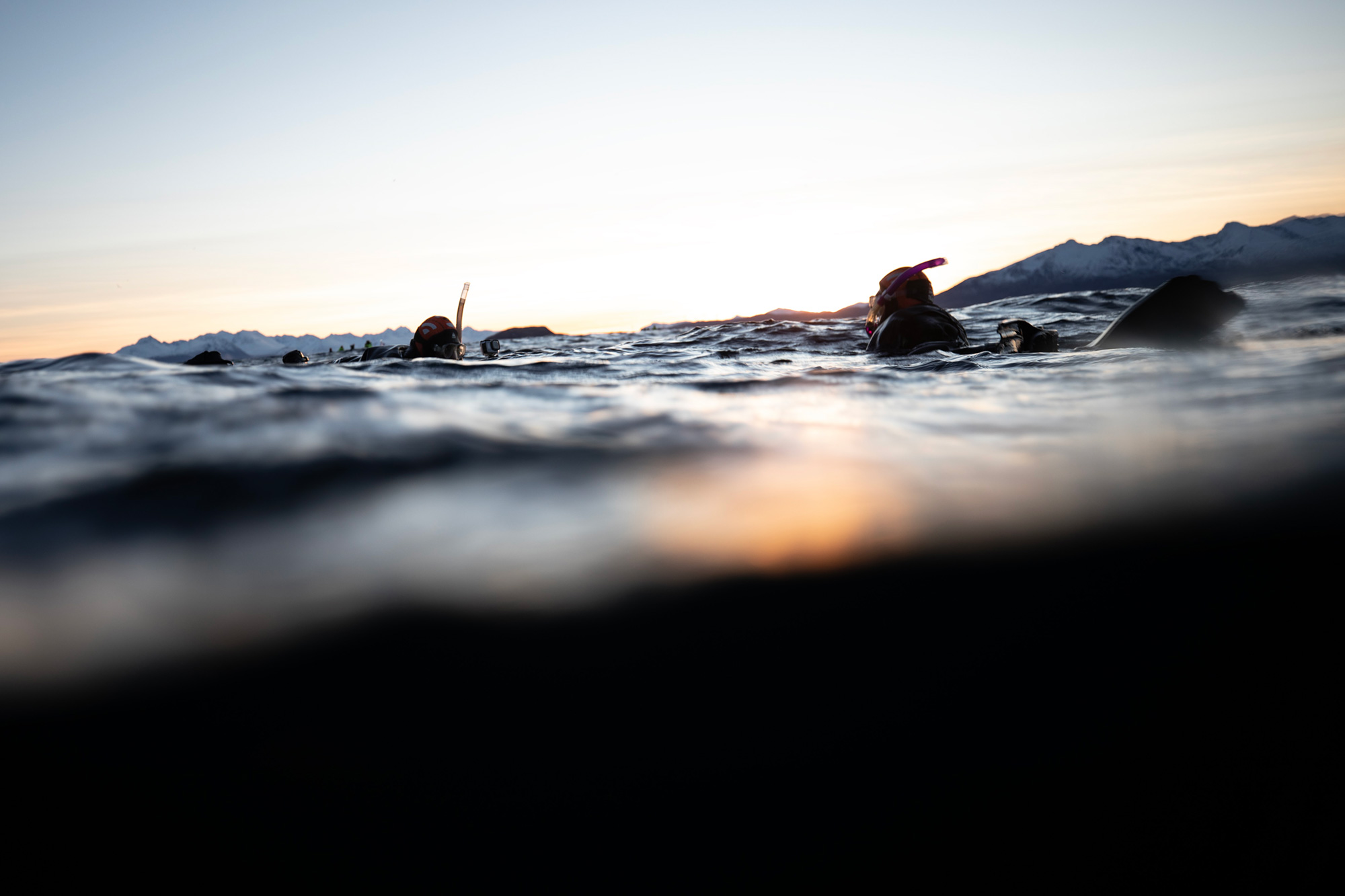 Divers at the ocean surface