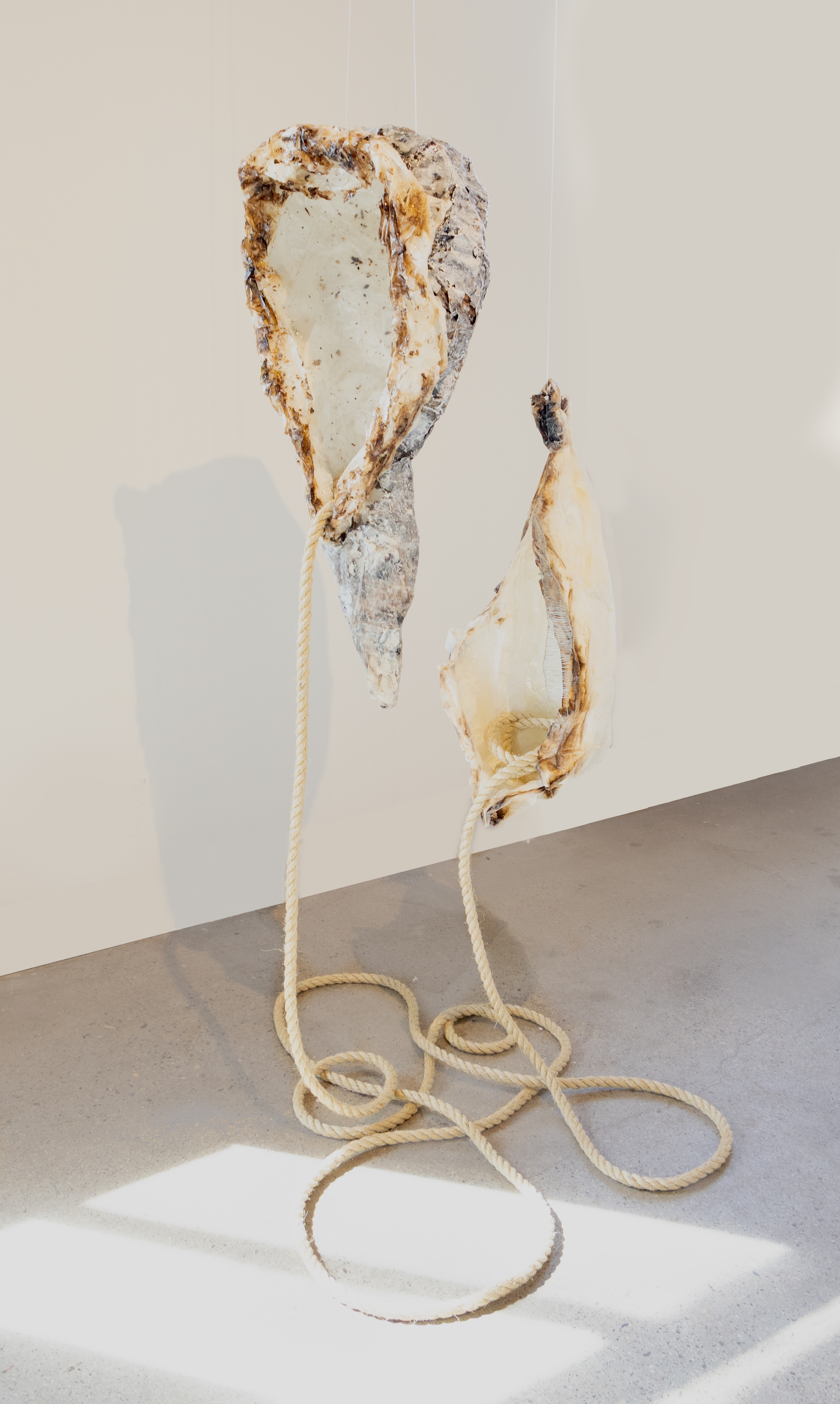 Kat Barnett, Rebirth