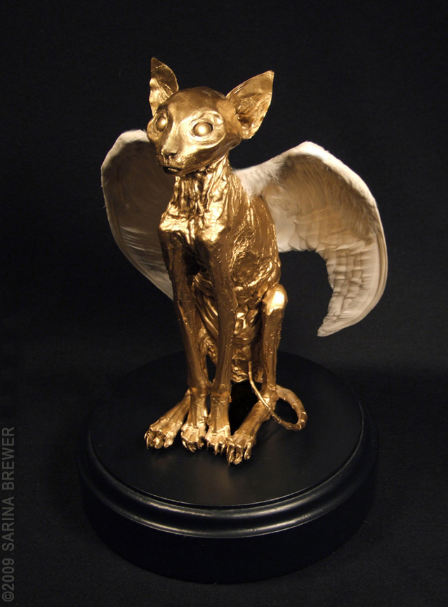 Taxidermy by Sarina Brewer