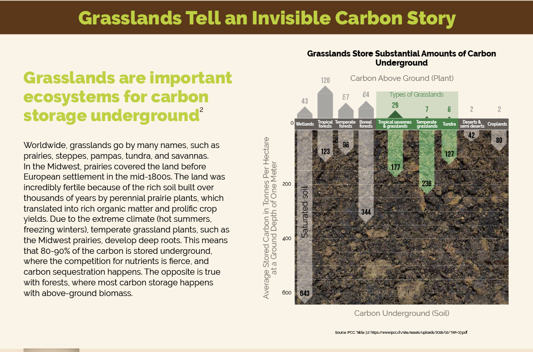 Inforgraphic by Tania Kac