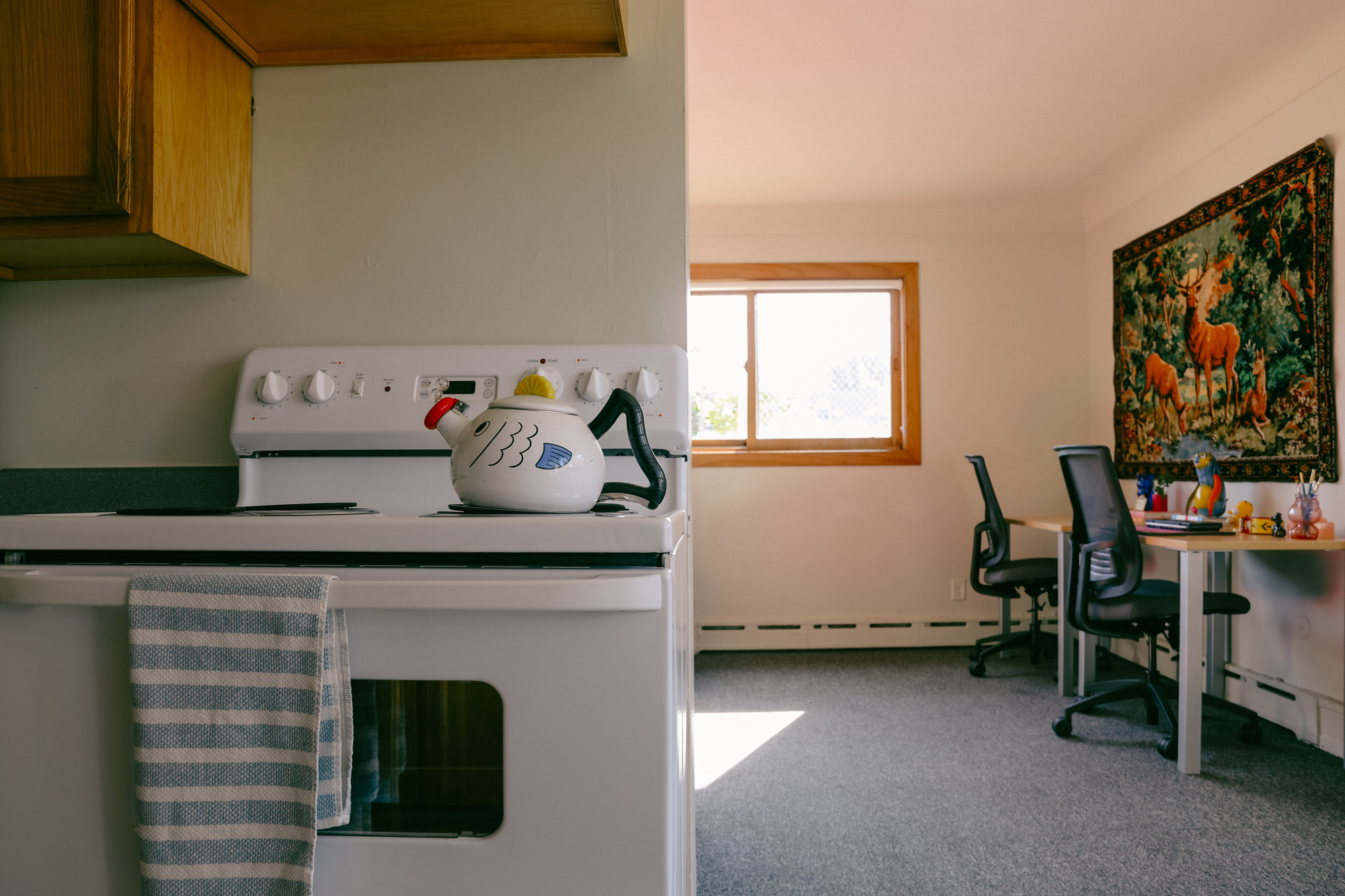 Kitchen in triplet apartments