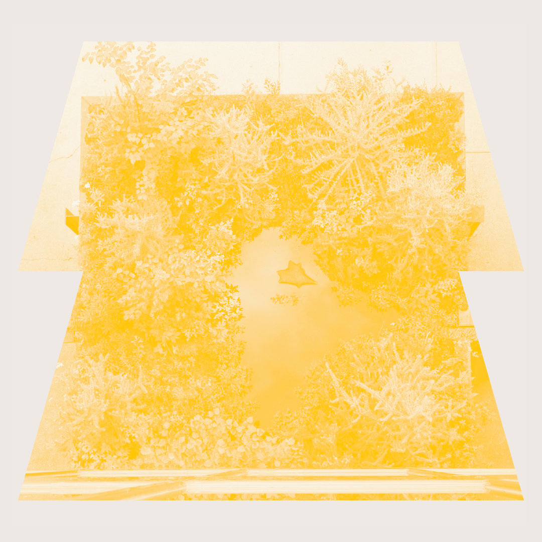 MCAD's rooftop bog