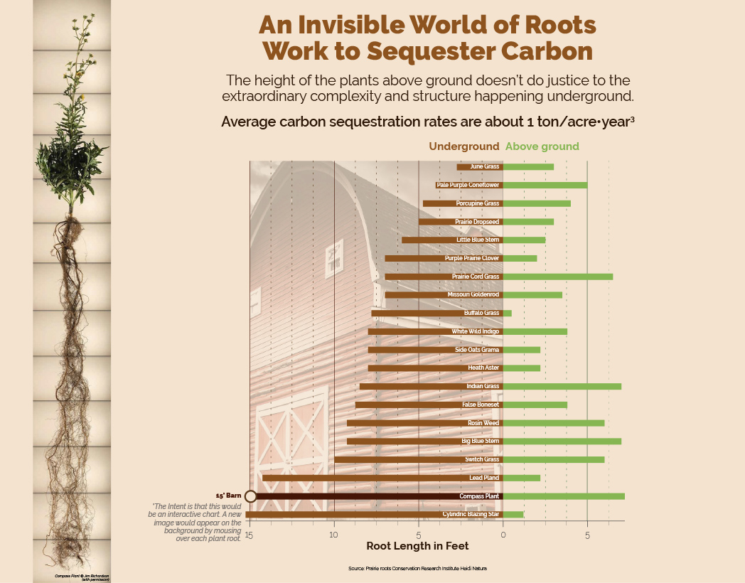 Inforgraphic by Tania Kac