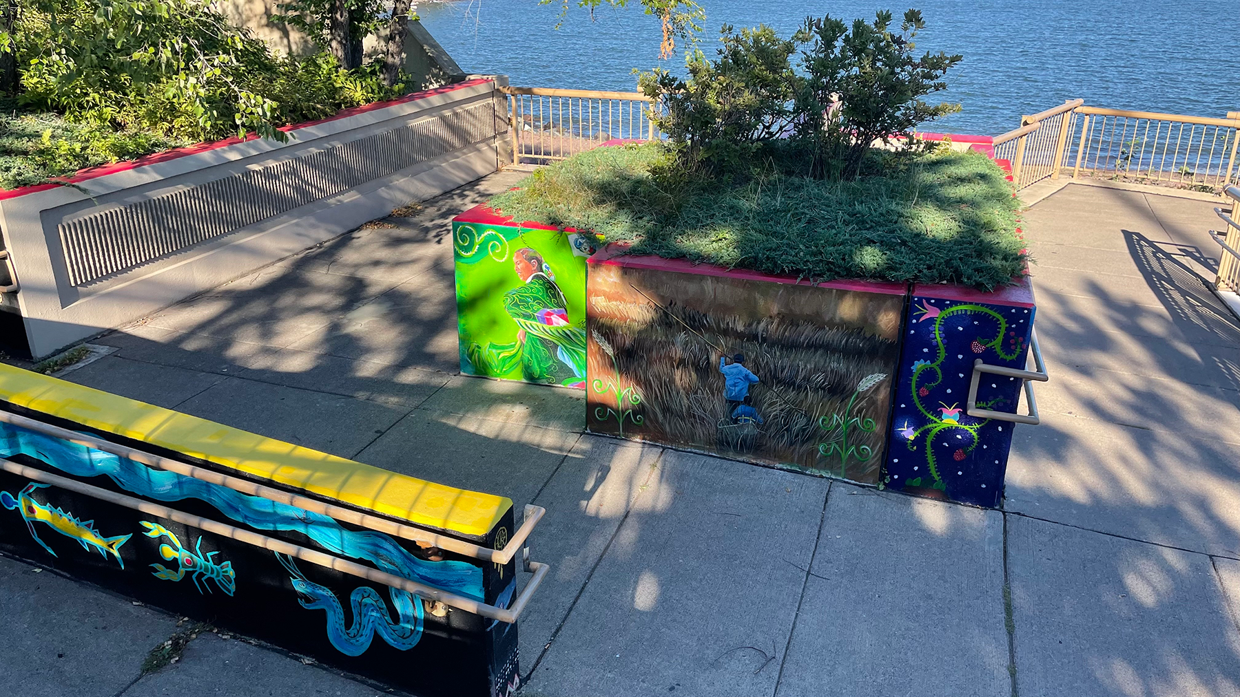 An image of various murals painted in a park setting.