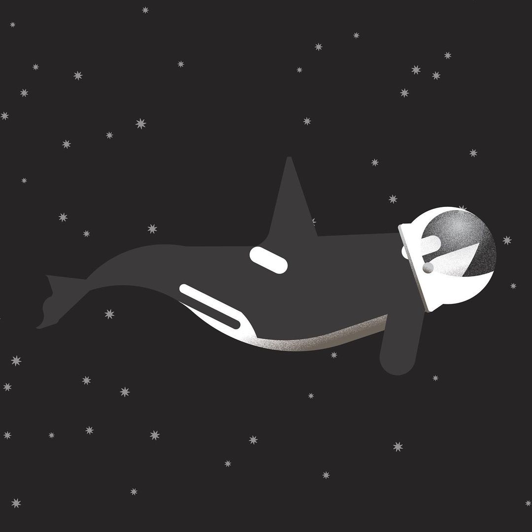 Orca design