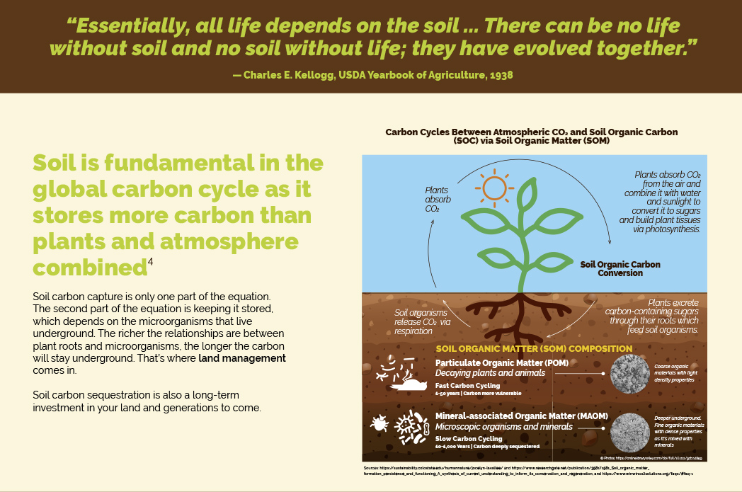 Infographic by Tania Kac