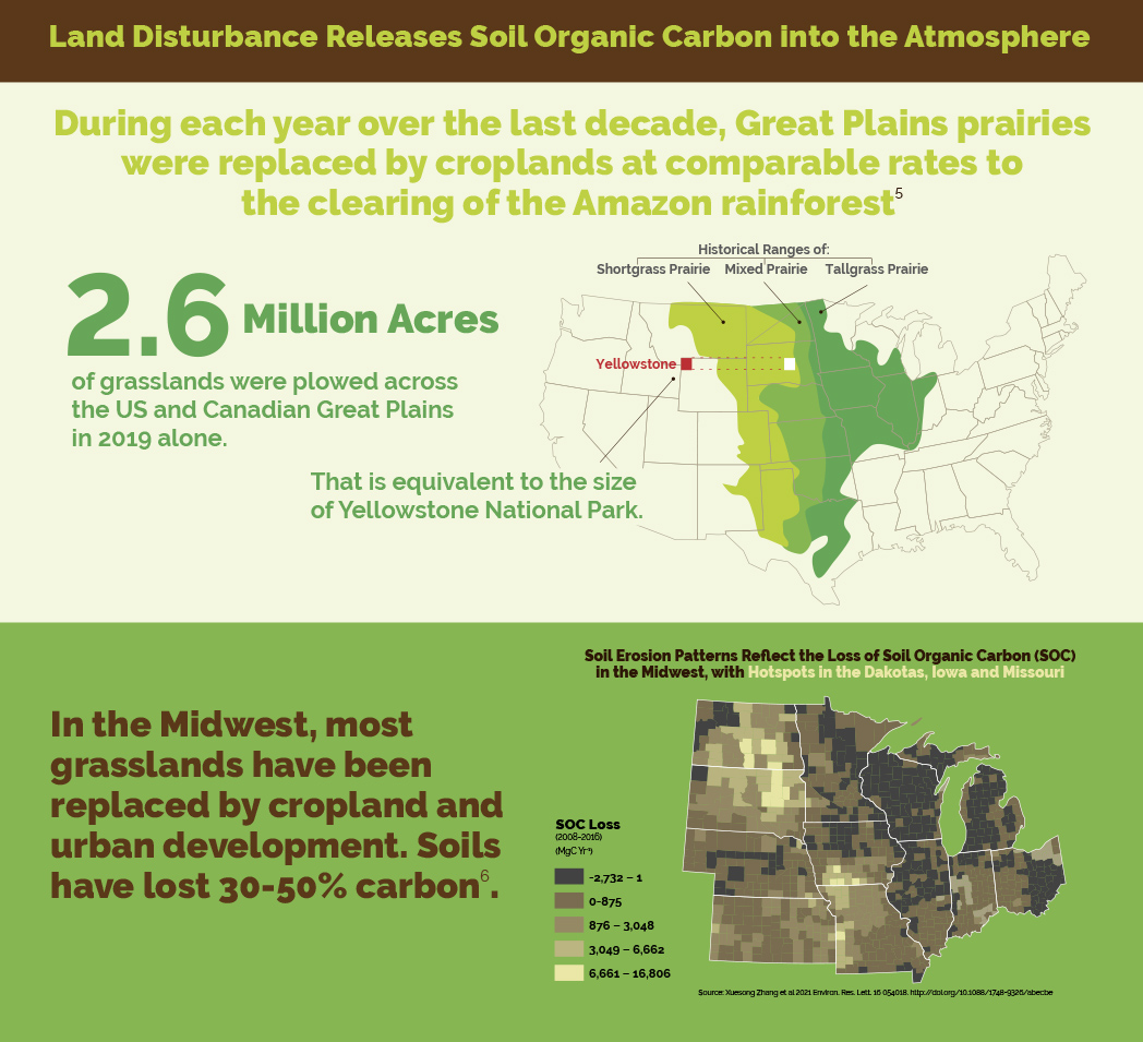 Infographic by Tania Kac