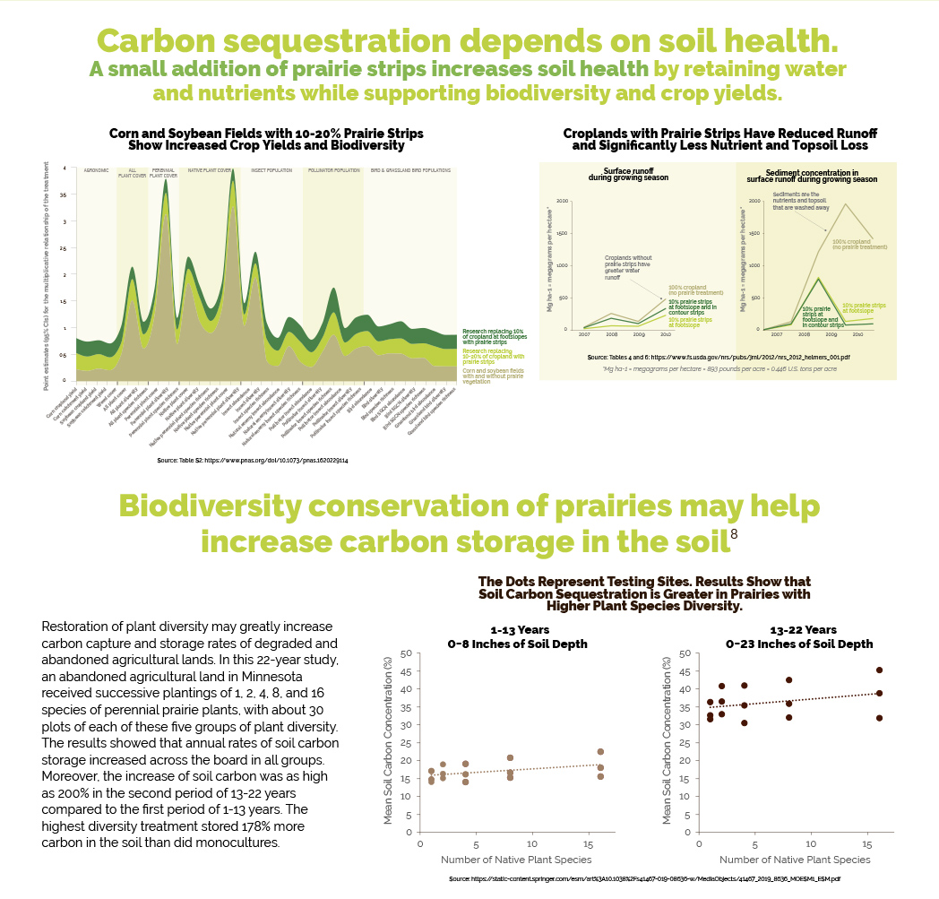 Infographic by Tania Kac