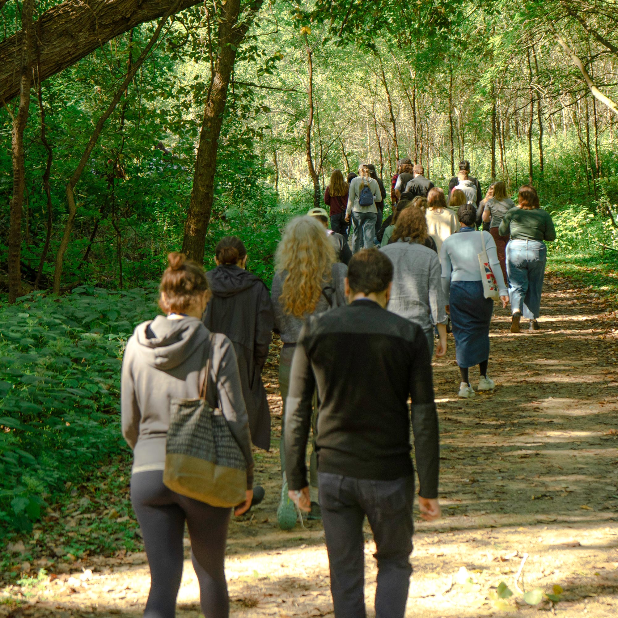 Students walking on a path surrounded by trees