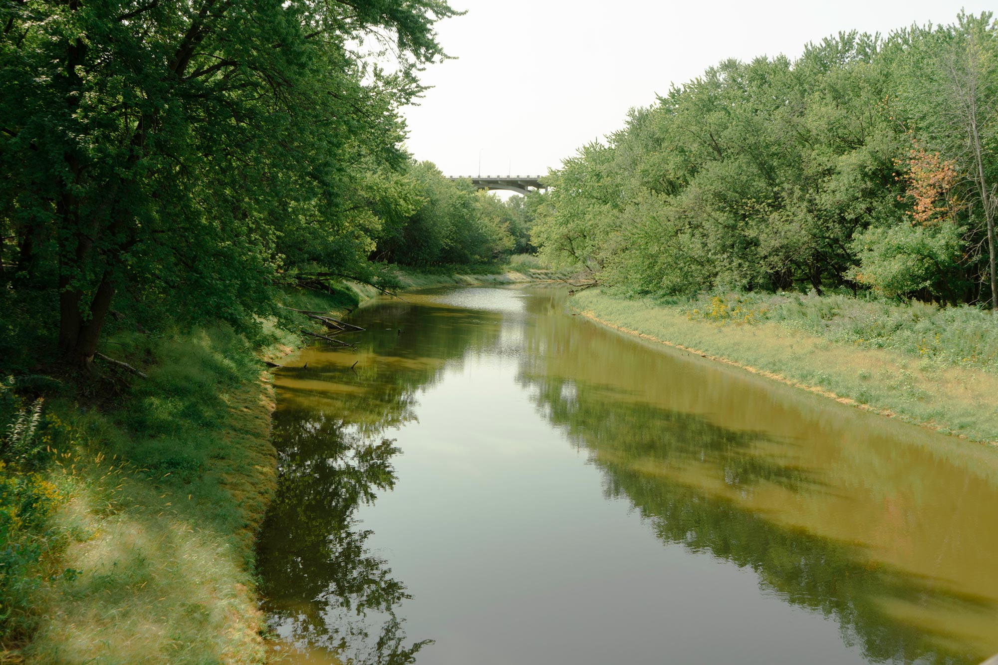 A river surrounded by trees