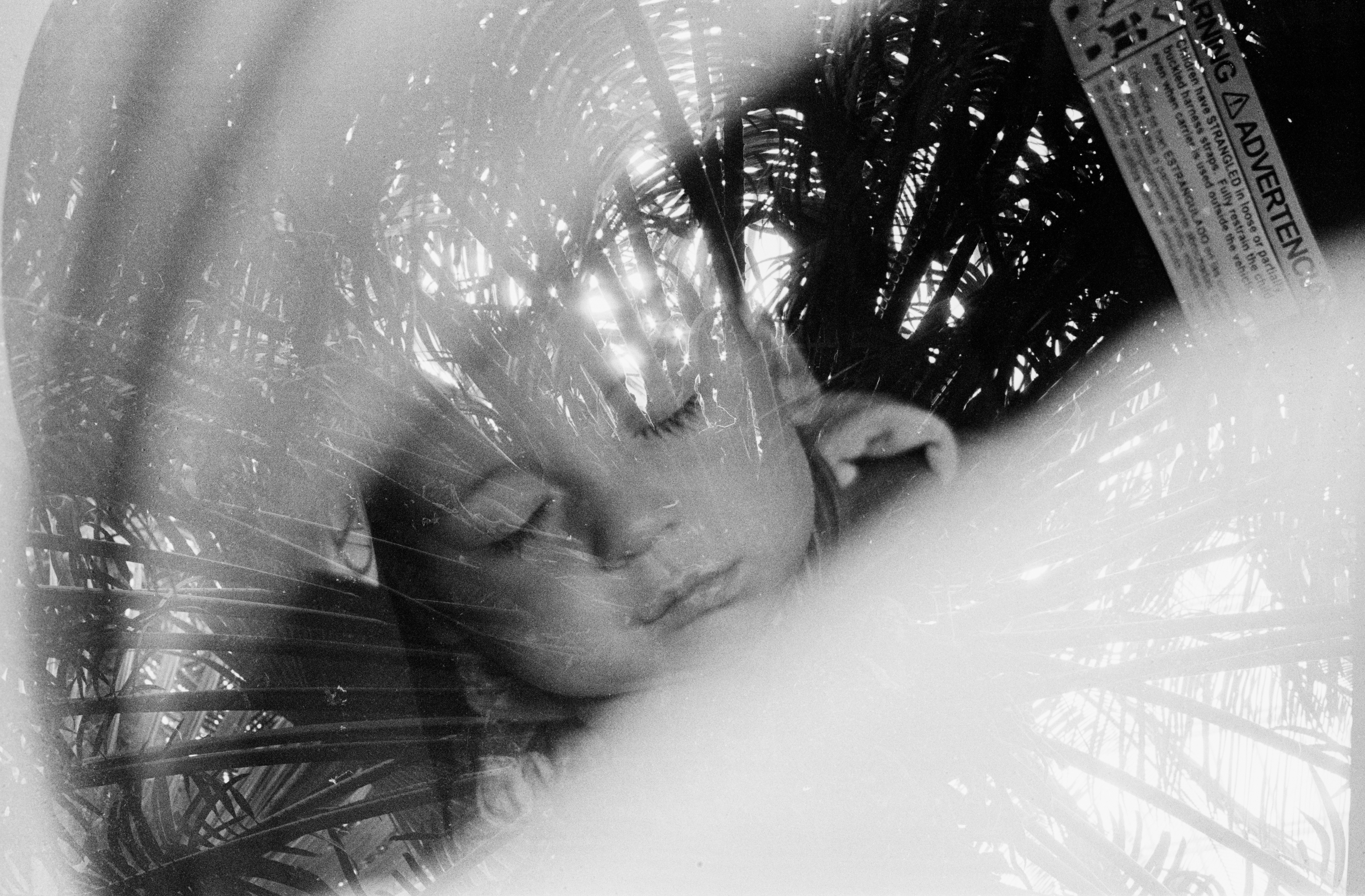 Dakota Houck, Burst of Life