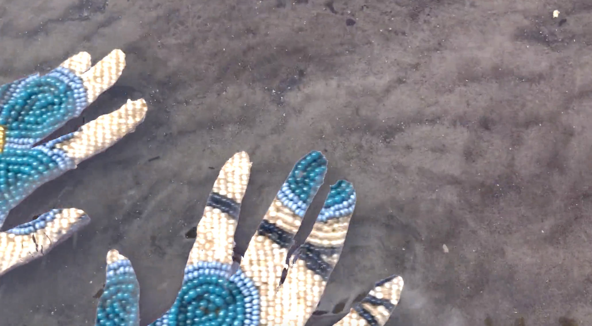 Carlson Anthropocene Refusal Video Still Image
