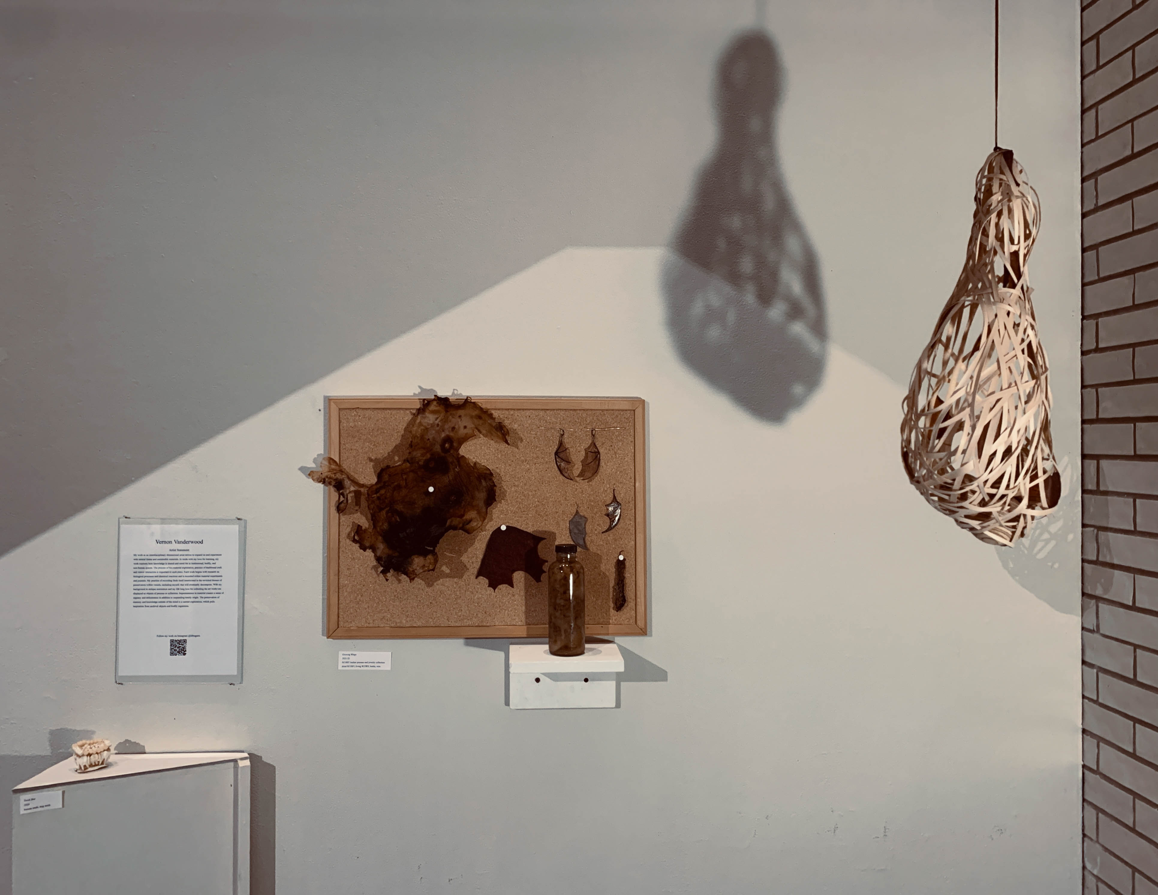 Installation of Vernon's work: hanging paper sculpture and a bulletin board displaying wings and natural finds