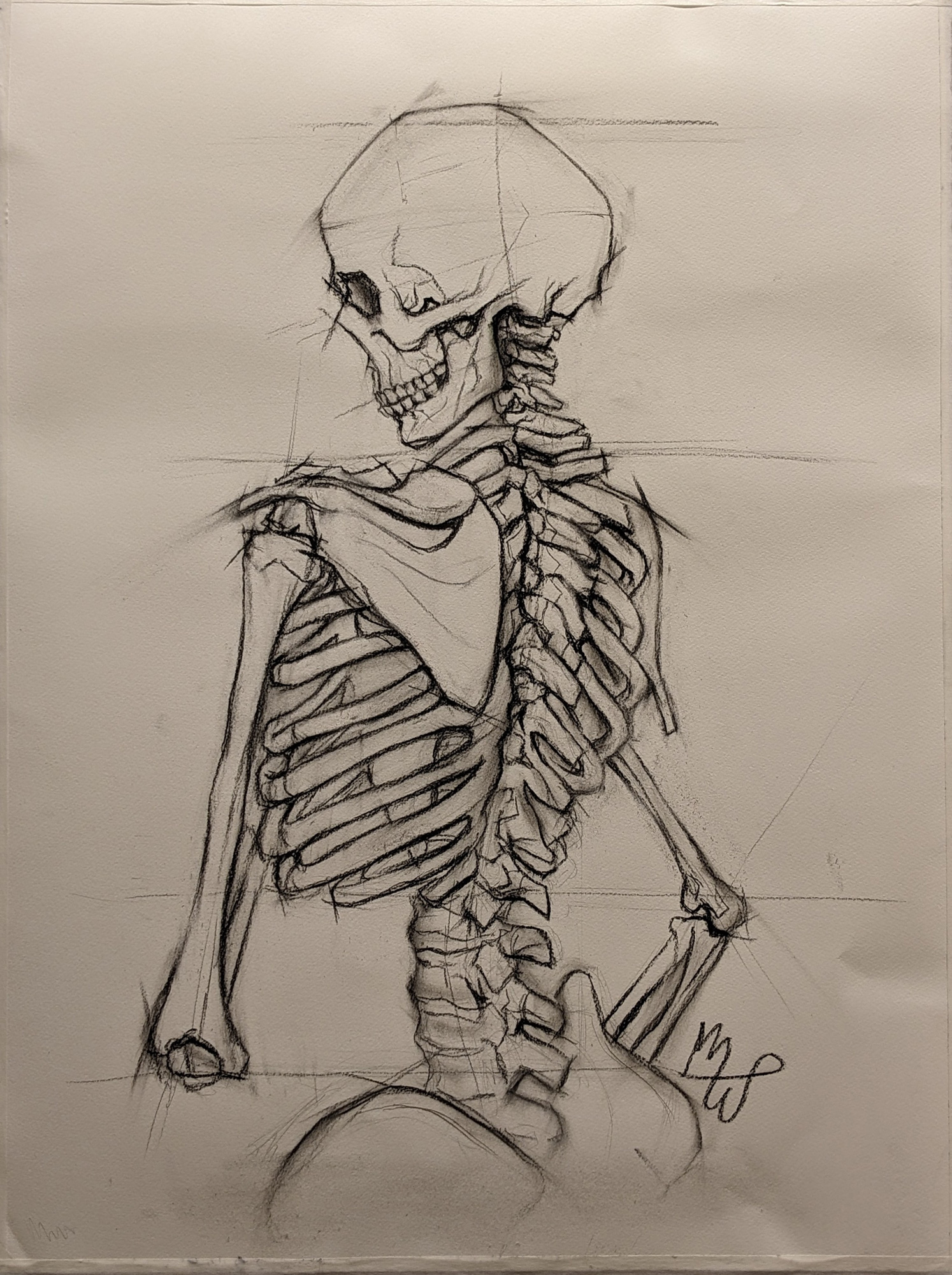 Sketch of a skeleton