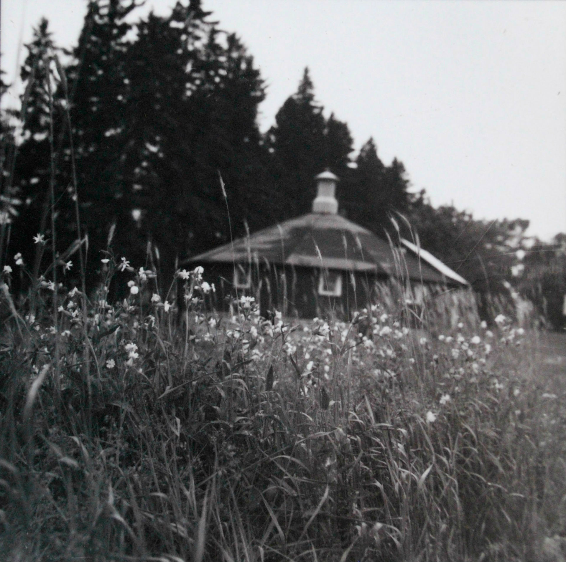 Jovan Speller, Farmscapes #3, 2017, silver gelatin print, dimensions variable. 