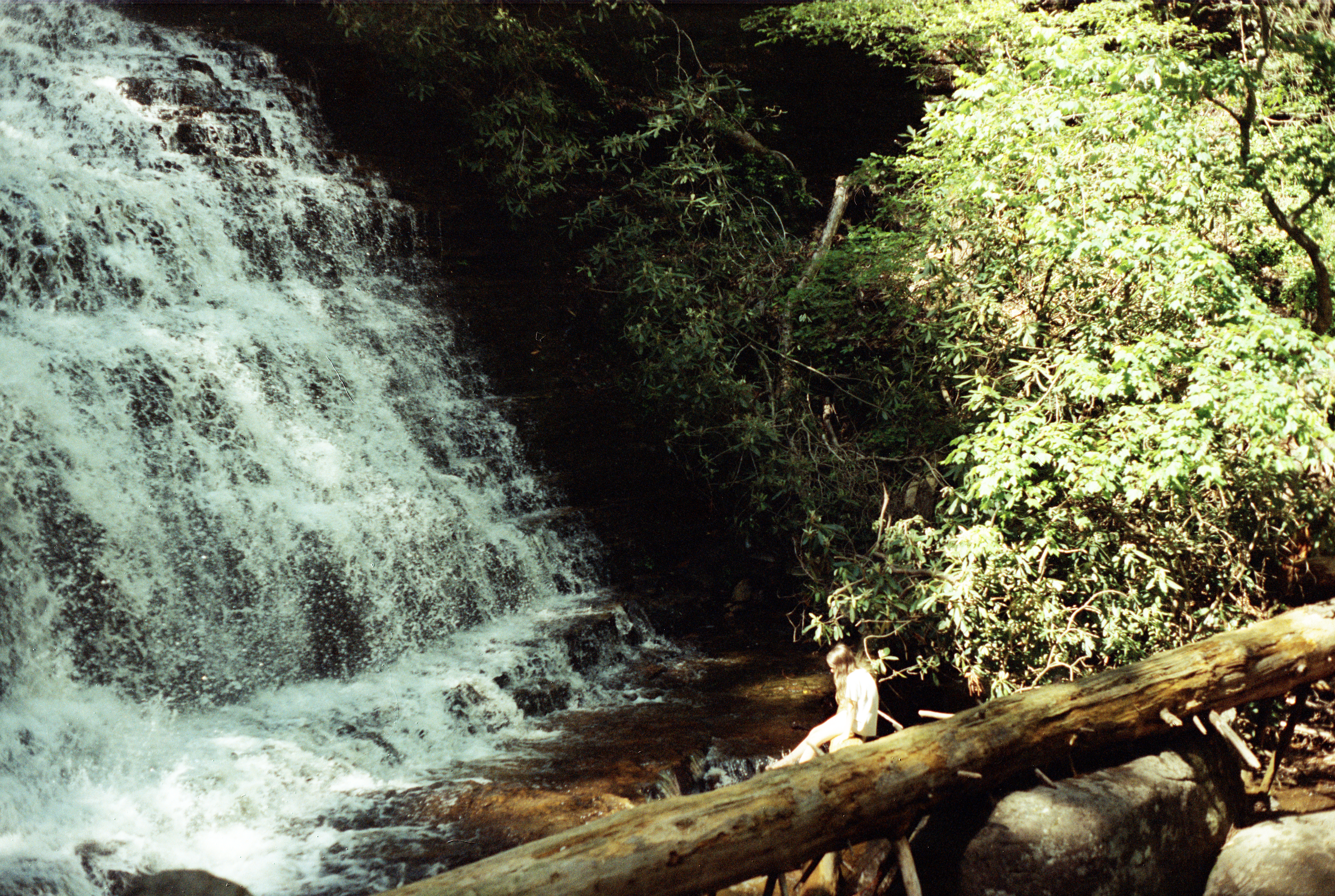 Dakota Houck, Sweet Summer