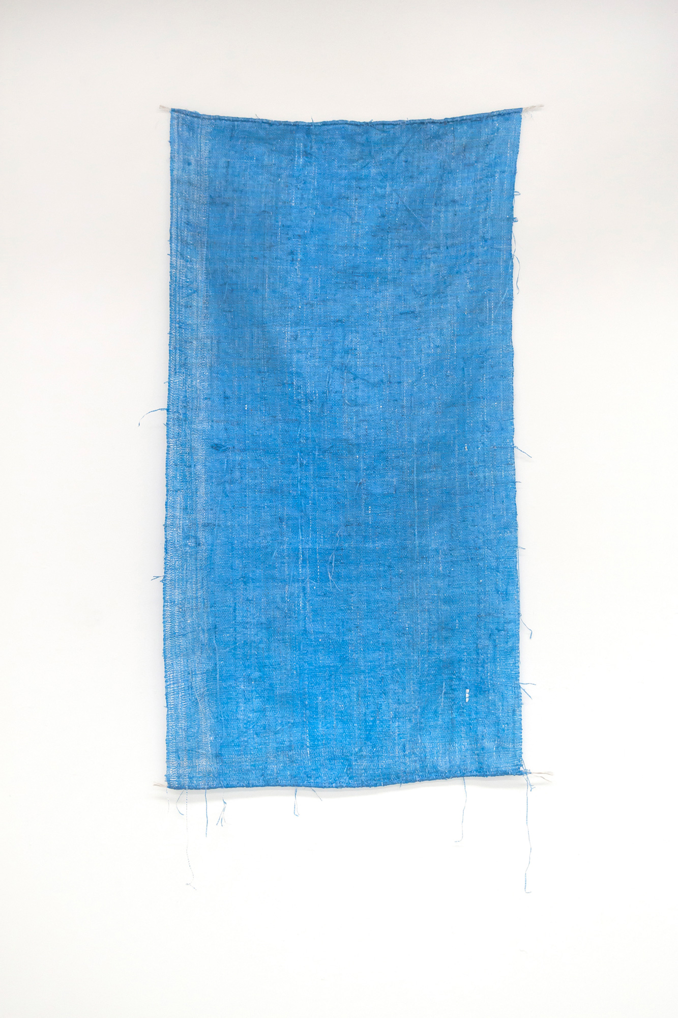 Tarp, 2019 Plastic 56 x 28 in.