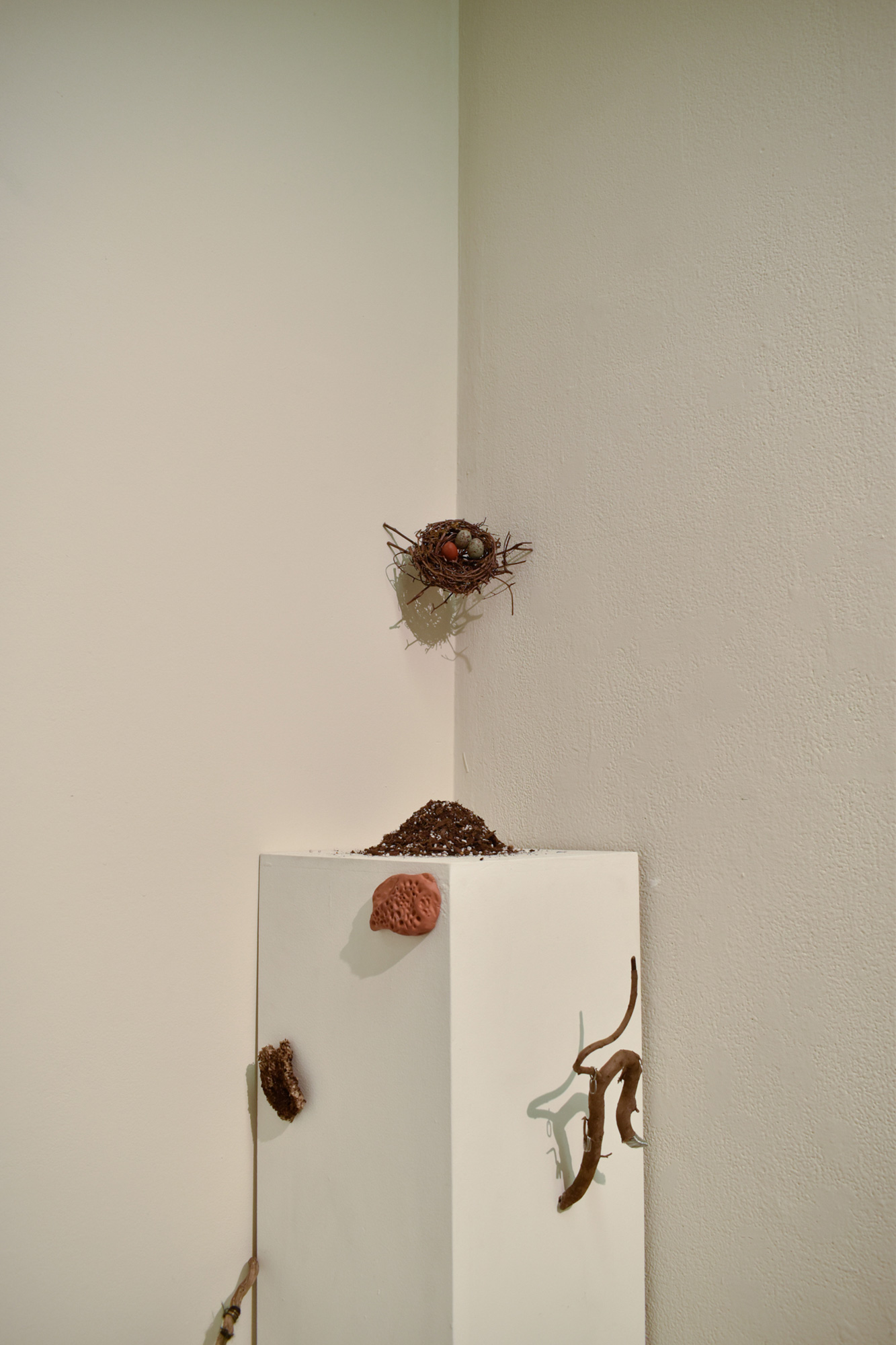 Installation by Vernon Vanderwood