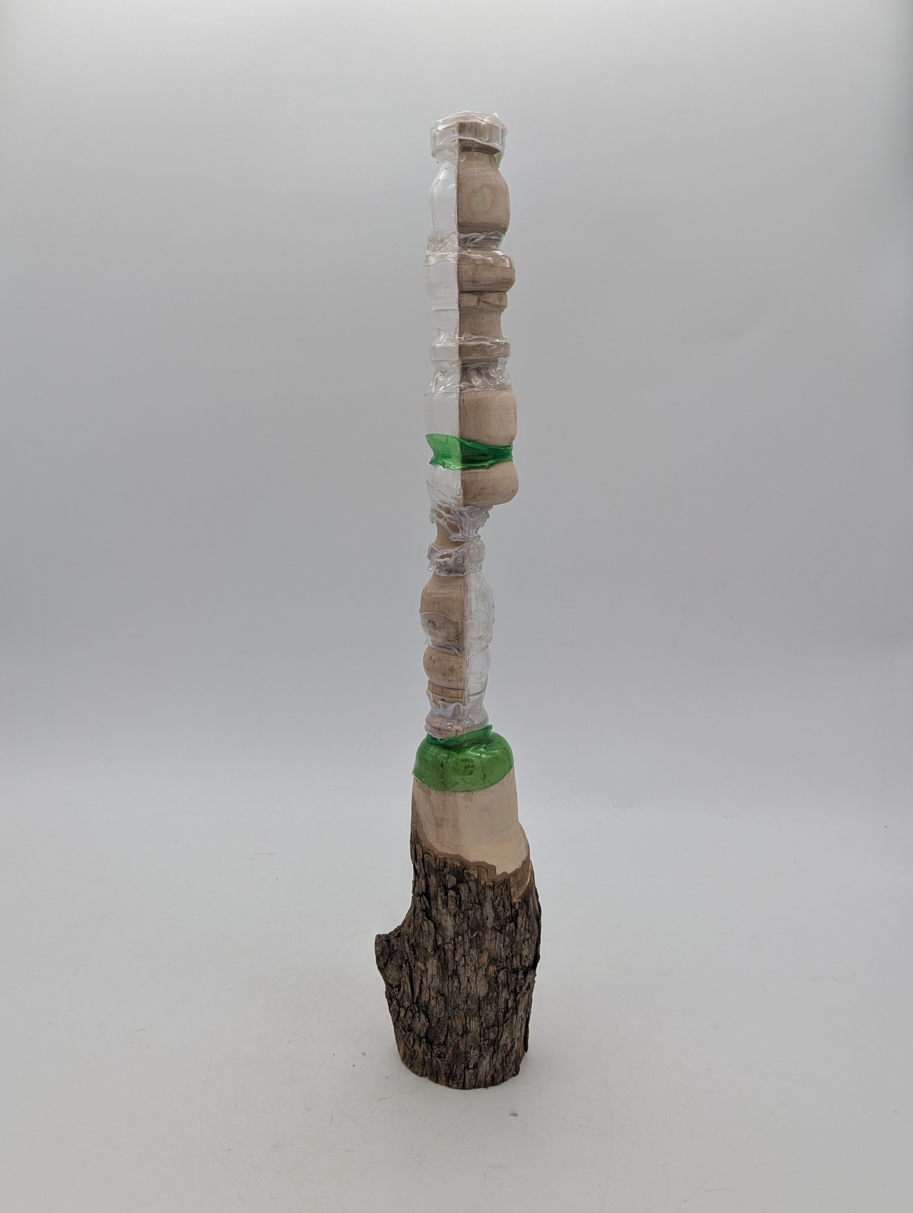 Meija Borowski, Disseminate