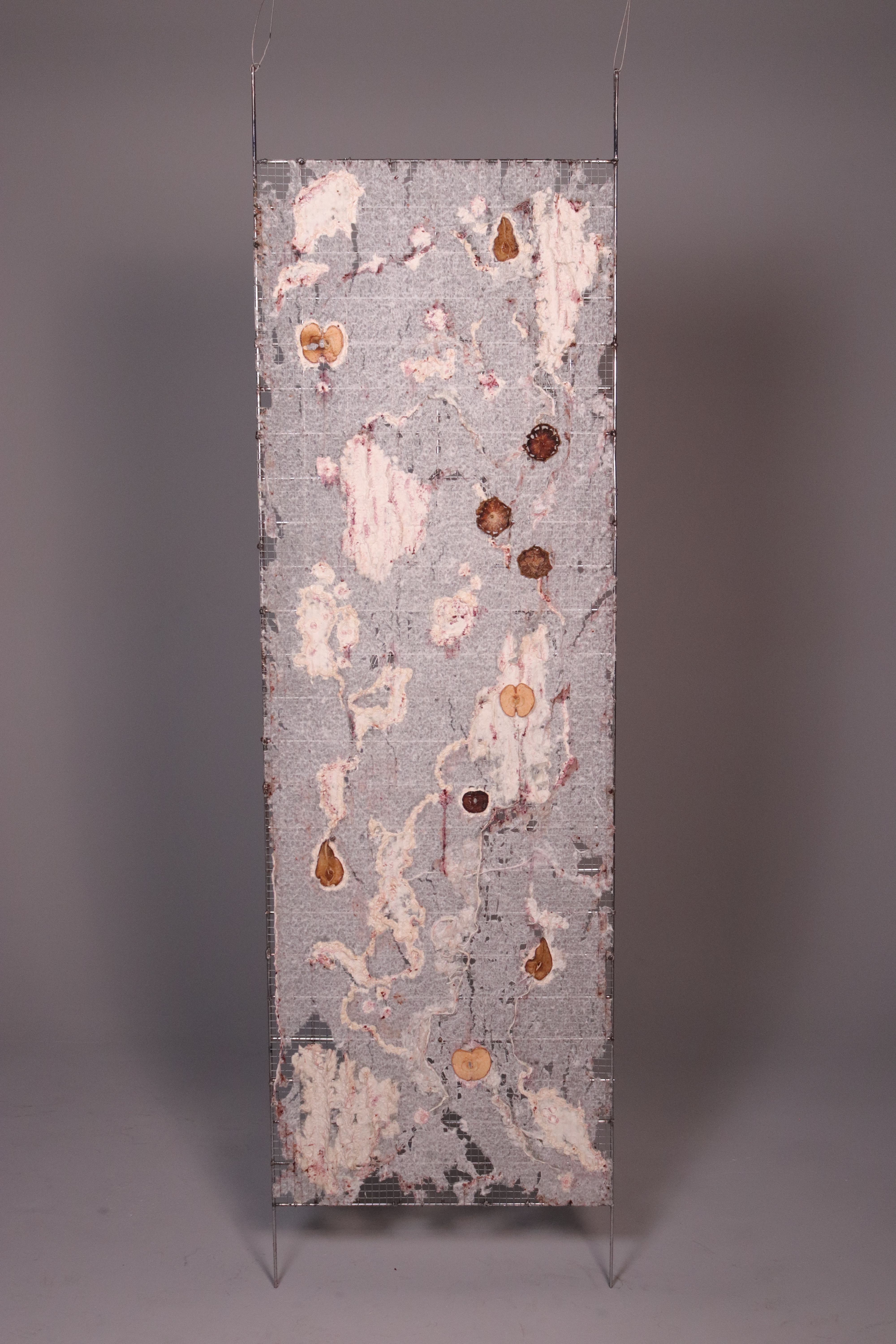 Meija Borowski, Contored