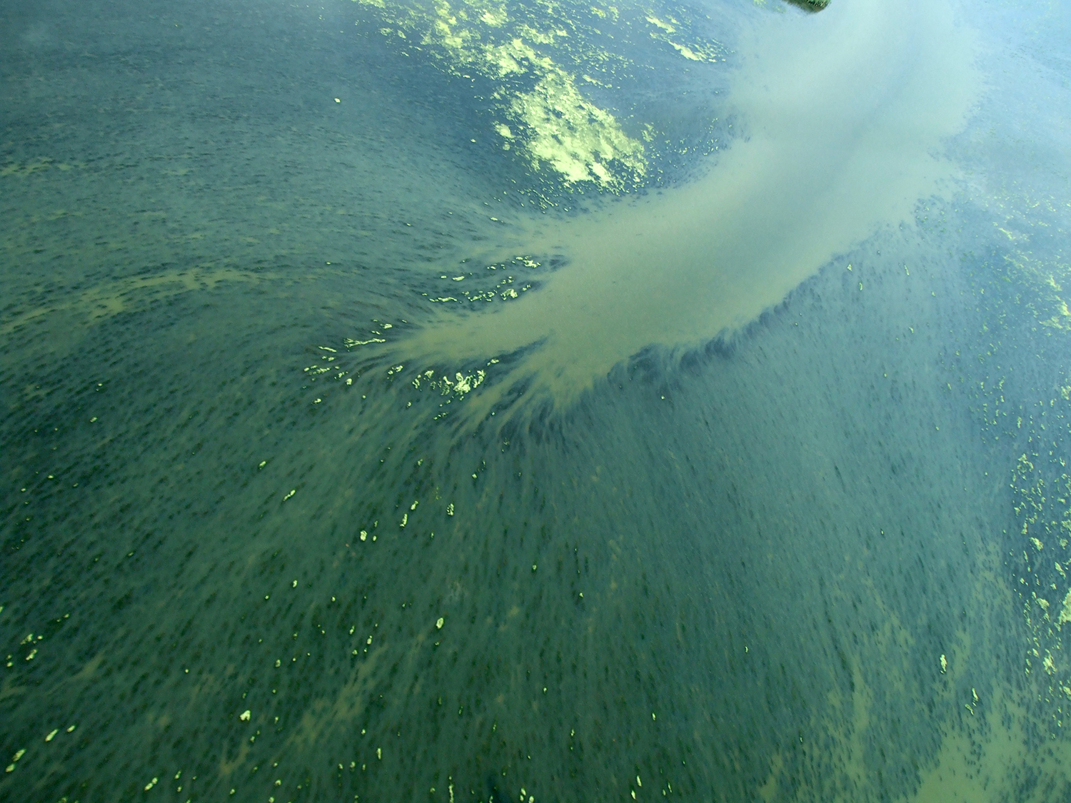 Monica Haller, Flight of Parish, archival inkjet print, 2009. Photo credit: Albertine Kimble. 