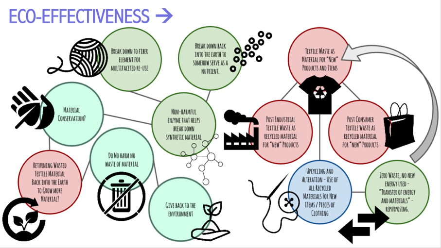 Eco Effectiveness graphic by Kelly Wilcox