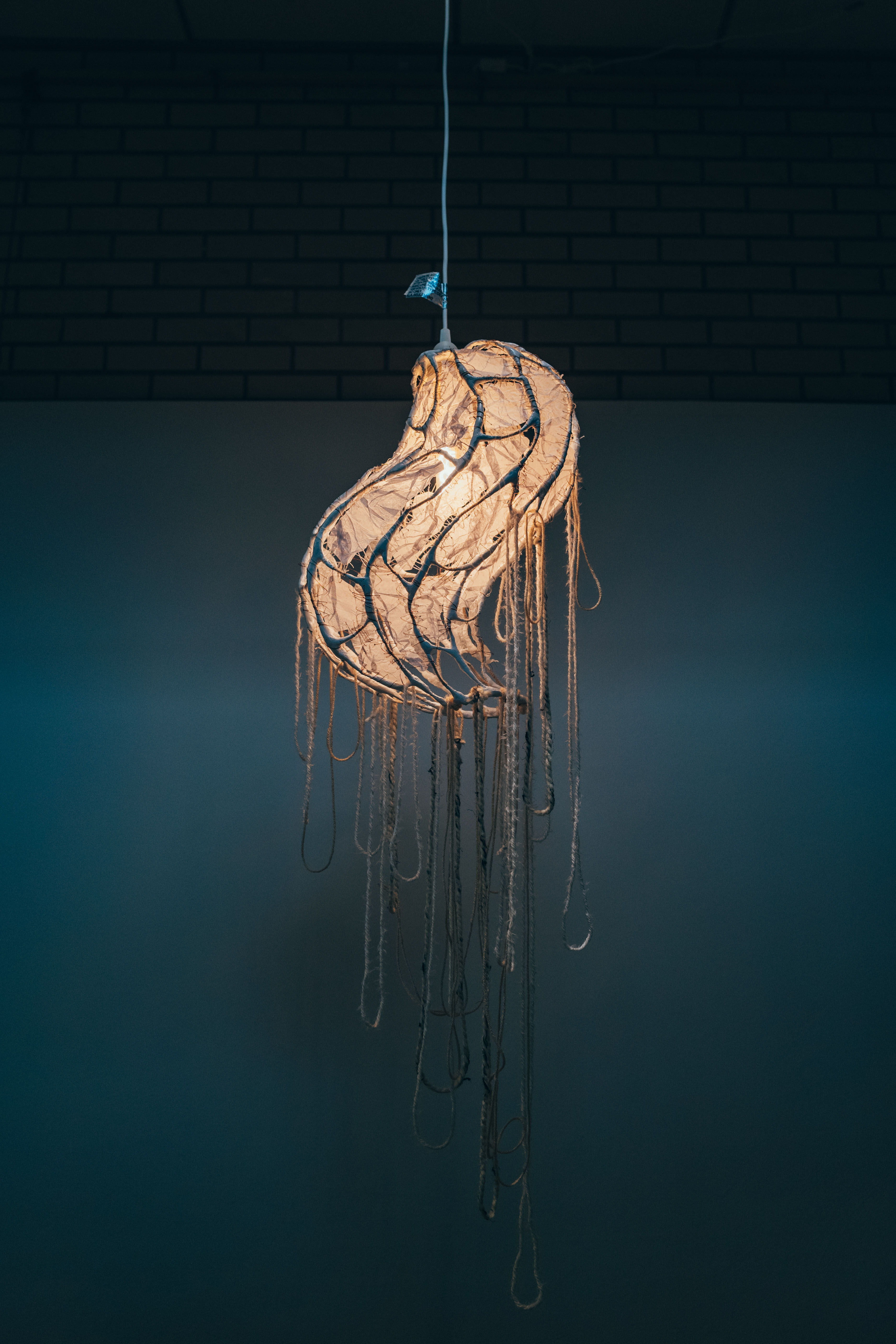 Light fixture by McKennan Marie