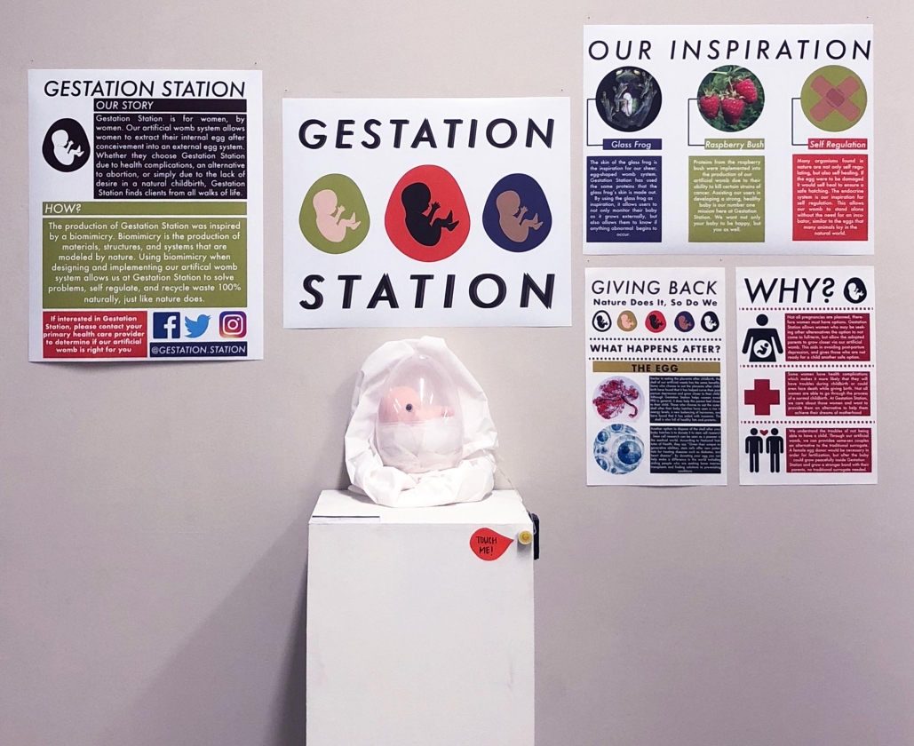 "Gestation Station" display by Meghan Meehan.