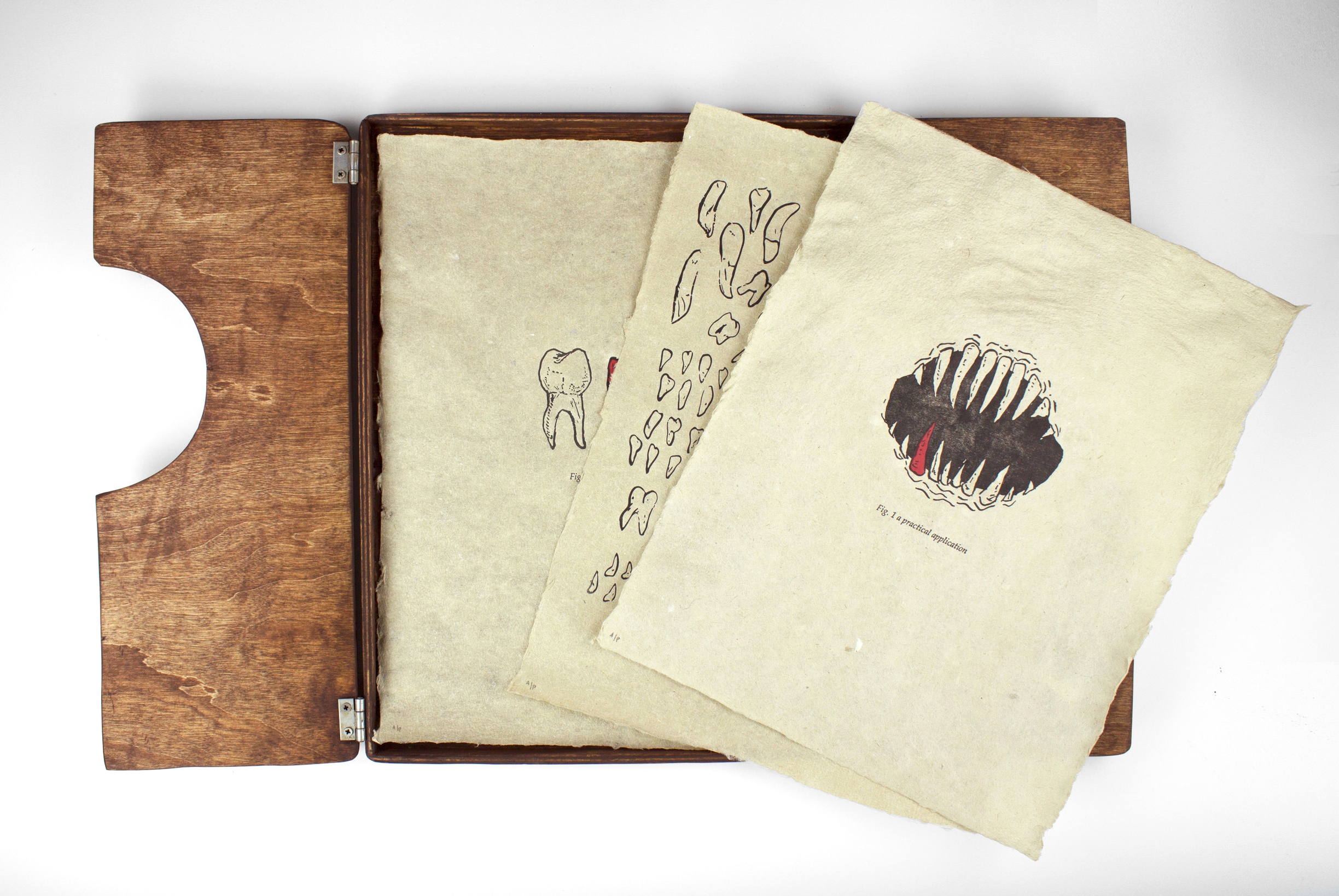 Print Paper Book by Sarah Evenson