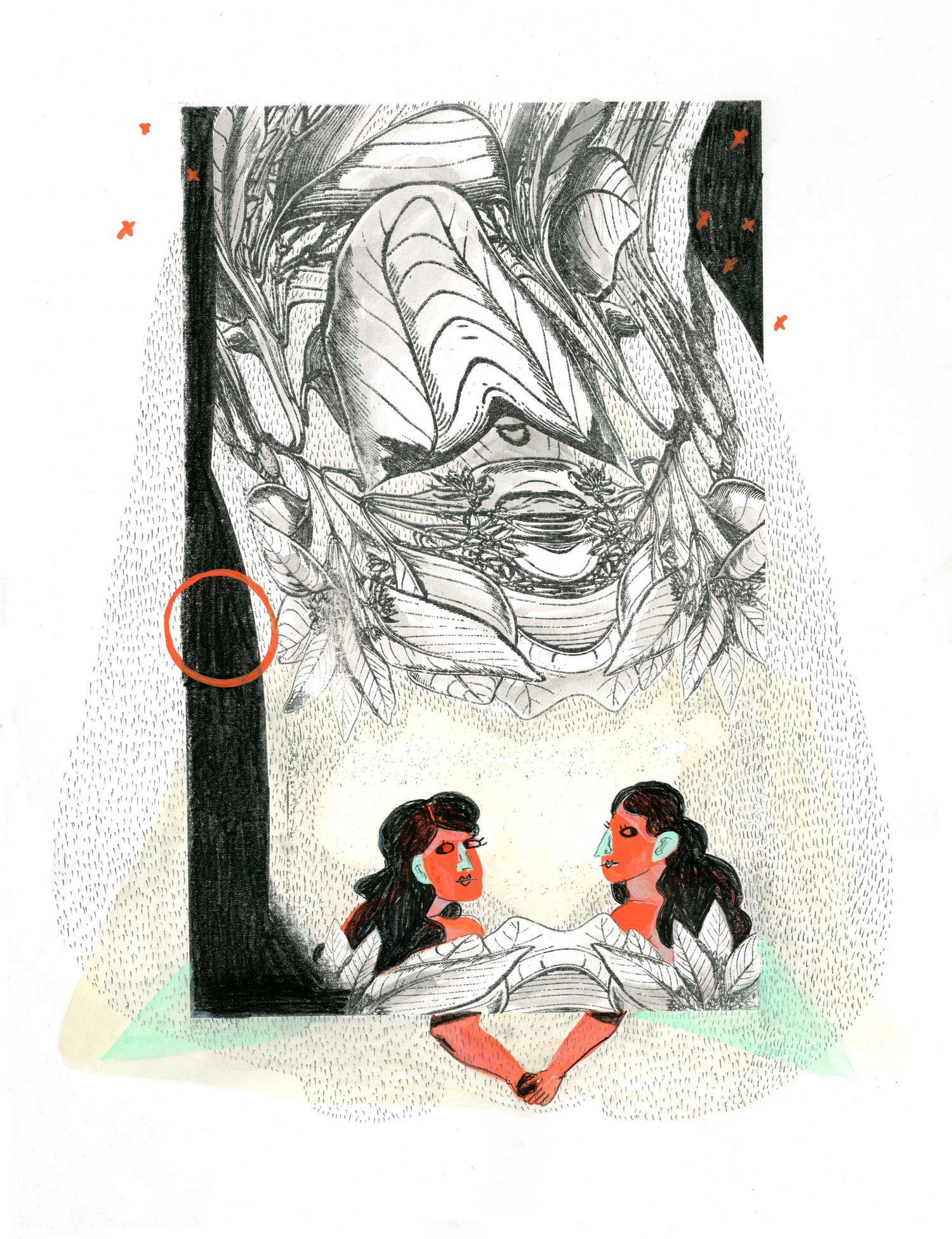Illustration by Sarah Evenson
