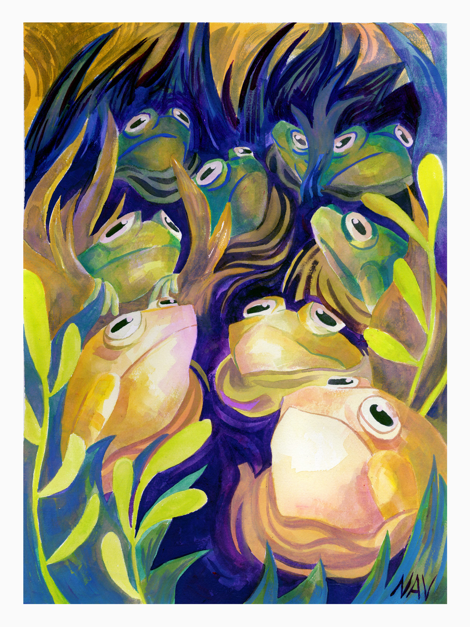 An illustration featuring frogs