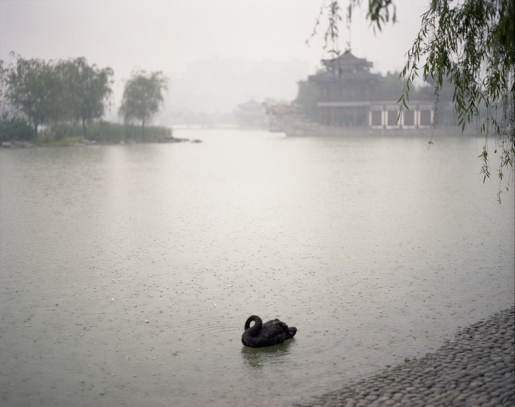 Photograph by Shen Wei