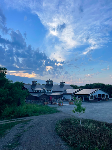 Sunset over Art In Motion and the BoHo Cafe, with a road in leading to the building in the foreground and greenery all around