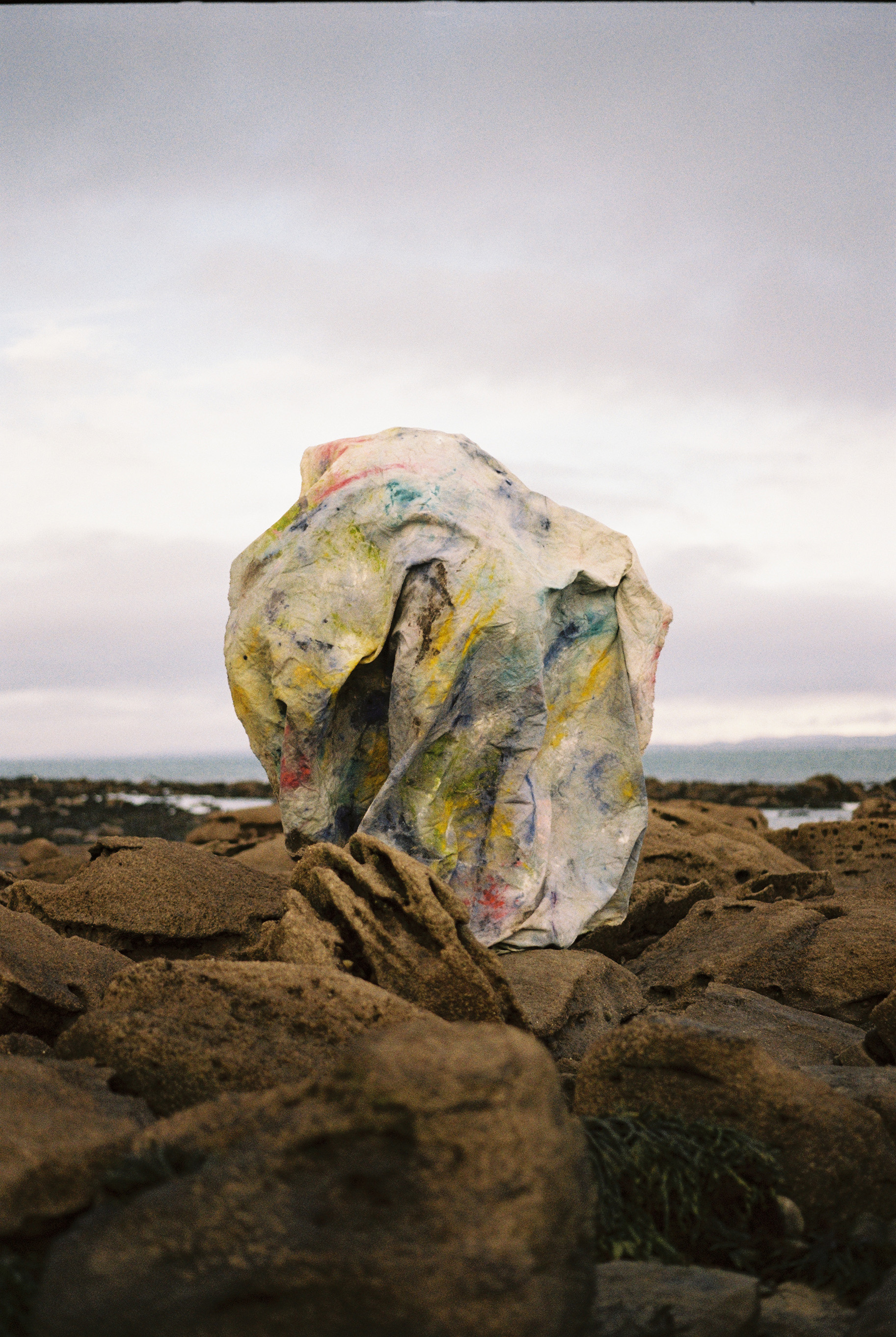 Image from Montana Becker's Thesis Exhibition