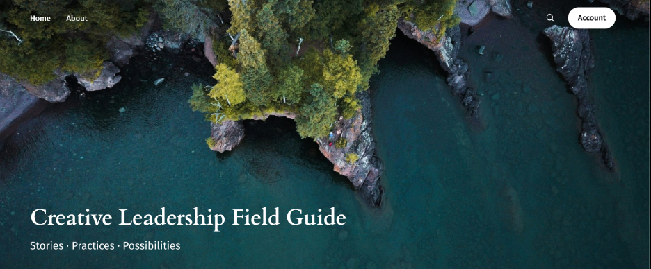 Topographical view of a coastline with trees