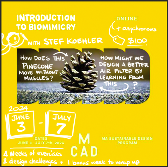 biomimicry comic