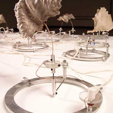 David Bowen, 24 Leaves, 2003, aluminum, plastic, and electronics