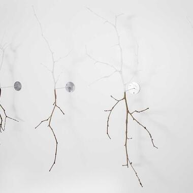 David Bowen, 5twigs, 2017, ABS plastic and twigs