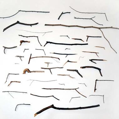 Jennifer Meridian, A City Without Guns, 2014.   Found wooden sticks.