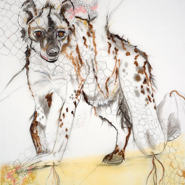 Paula Barkmeier, Wild, 2013