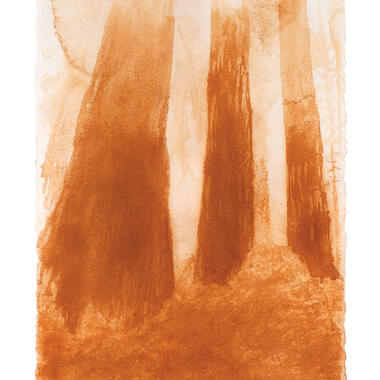 Richard Barlow, Forest, 2012, iron oxide on paper, 30”h x 22”w. Photo: Rik Sferra