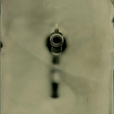 Andrew Moxom, Muzzle, Wet plate collodion, 2011