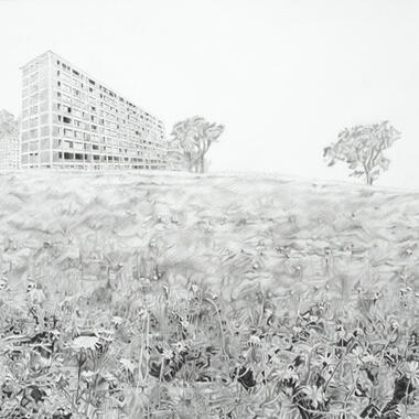 Pam Valfer, Landscape Simulation: Little House on the Prairie/Good Times (Cabrini Green), Graphite on Paper
