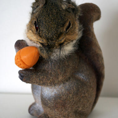 Pam Valfer, Sciurus carolinensis, 2010 and Model Dimensions: 5.5”x 4”x 4”