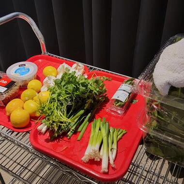 A cart with a red tray on it and two large containers of greens. The trays have herbs, lemons, garlic, green onions, feta cheese and beans on it