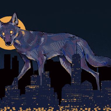 Digital drawing of city scape with large wolf waking through, looking directly at the viewer. The moon creates a halo behind the wolf's head.