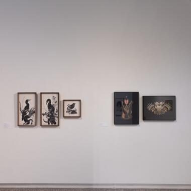 The Drawing Board Exhibition Documentation