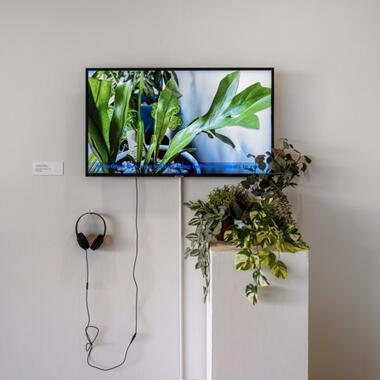 Young, Gifted, and Black Exhibition Documentation