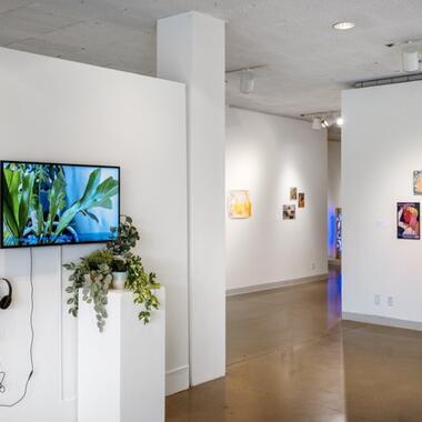 Young, Gifted, and Black Exhibition Documentation