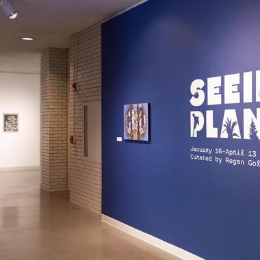 seeing plants exhibition documentation 